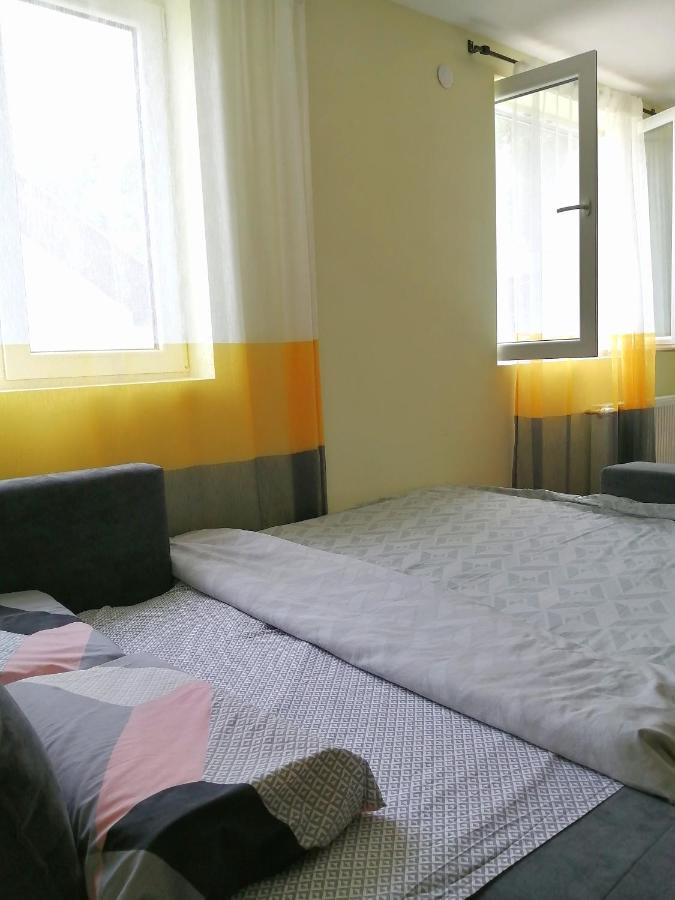 Nikas Apartman Donji Milanovac Extérieur photo